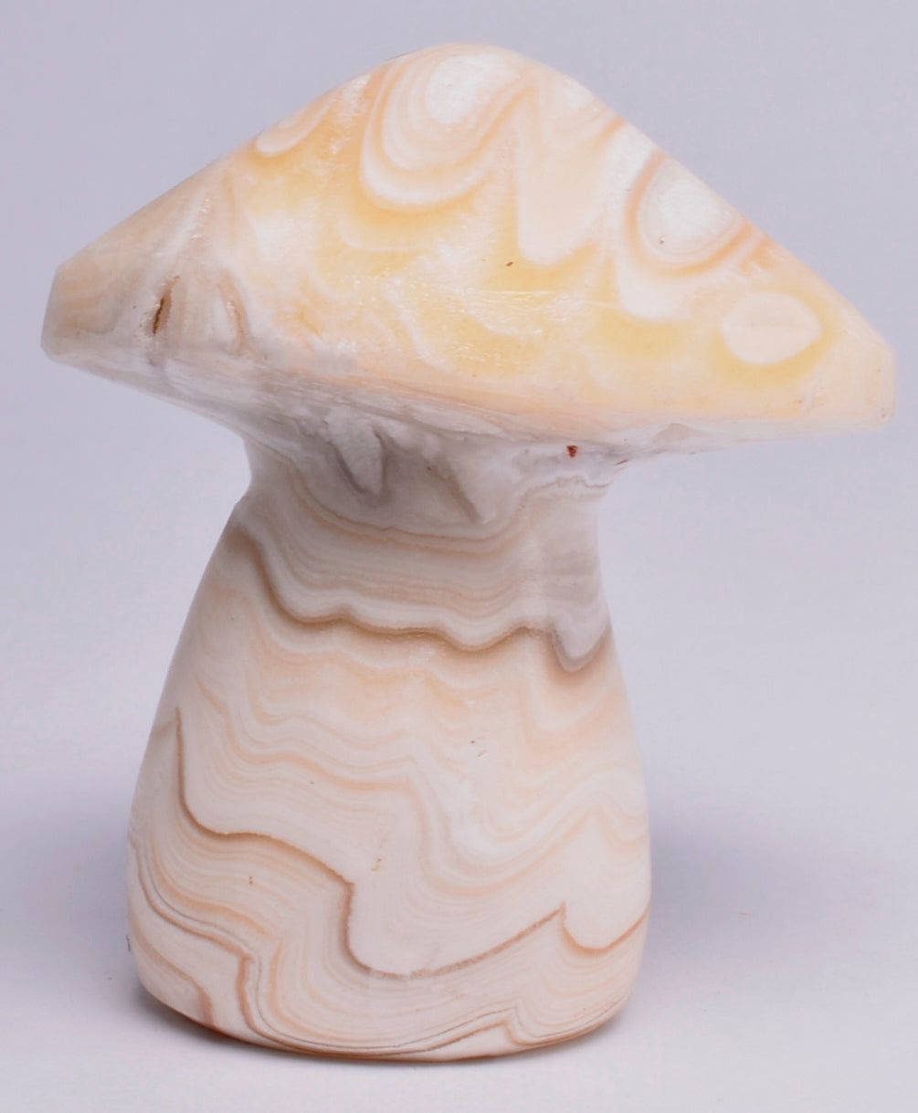 ARAGONITE MUSHROOM CARVING P616
