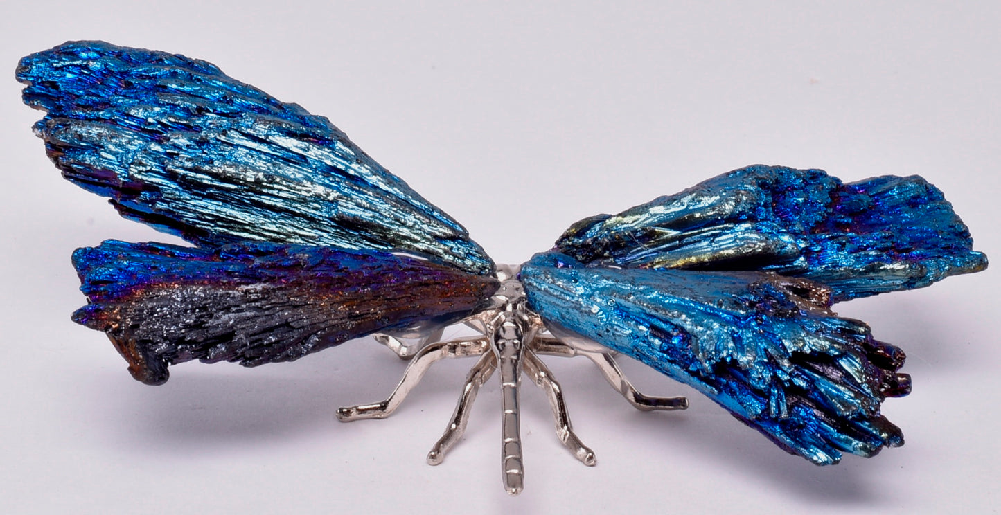 TITANIUM AURA KYANITE DRAGONFLY P539