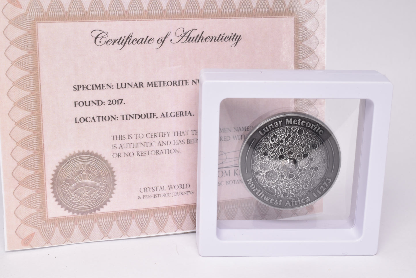 LUNAR METEORITE NWA in COLLECTORS COIN 11273 Found 2017 Algeria MT132