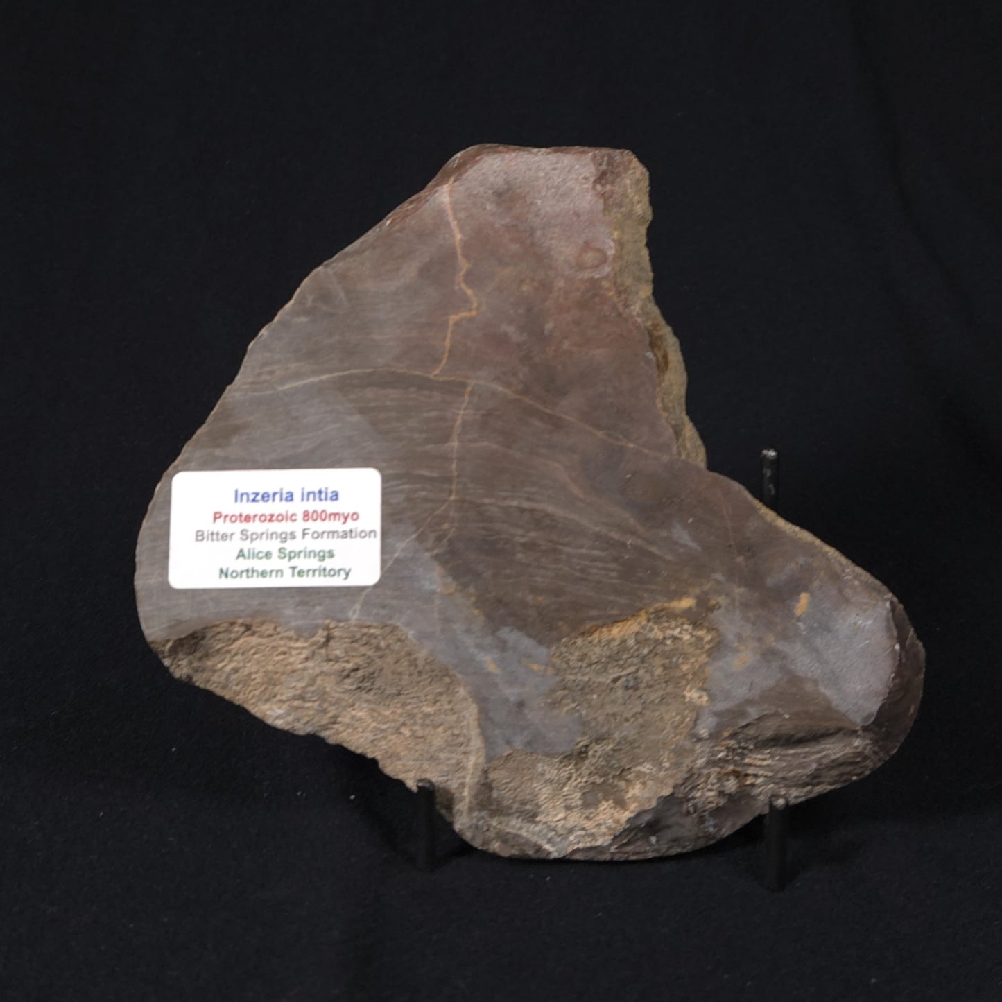INZERIA INTIA STROMATOLITE, Proterozoic, Australia 8VA020