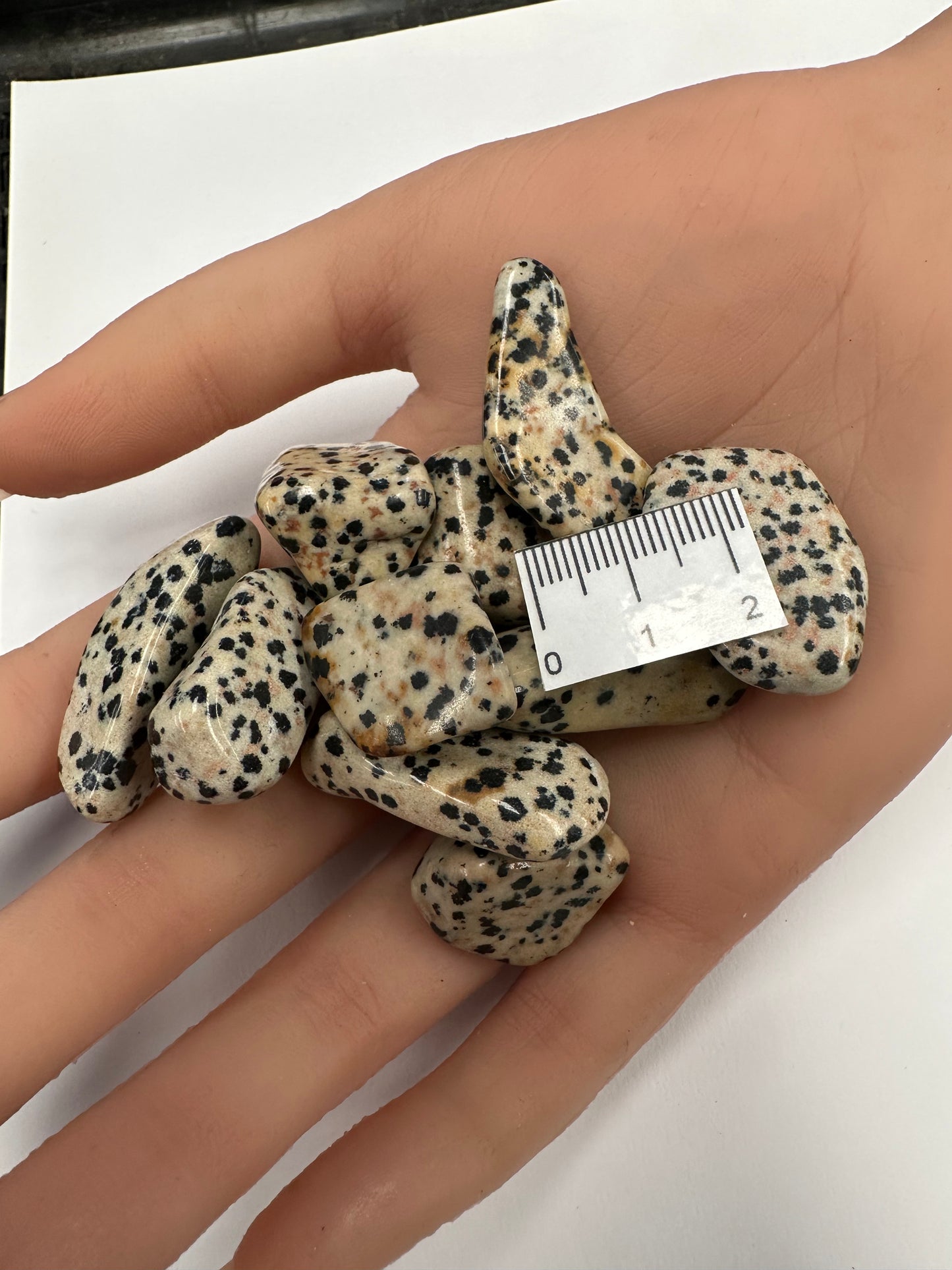 DALMATIAN JASPER TUMBLE T66