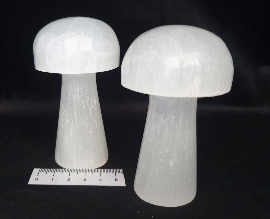 SELENITE MUSHROOM SE29