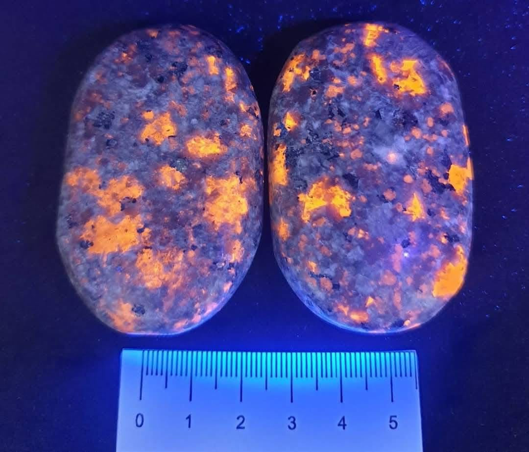 YOOPERLITE UV PALM STONE P2043