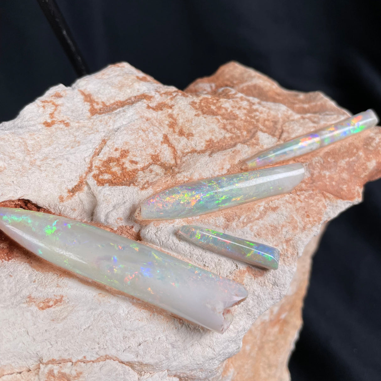 OPAL BELEMNITE FOSSILS IN MATRIX, Lower Cretaceous, Australia GOB004