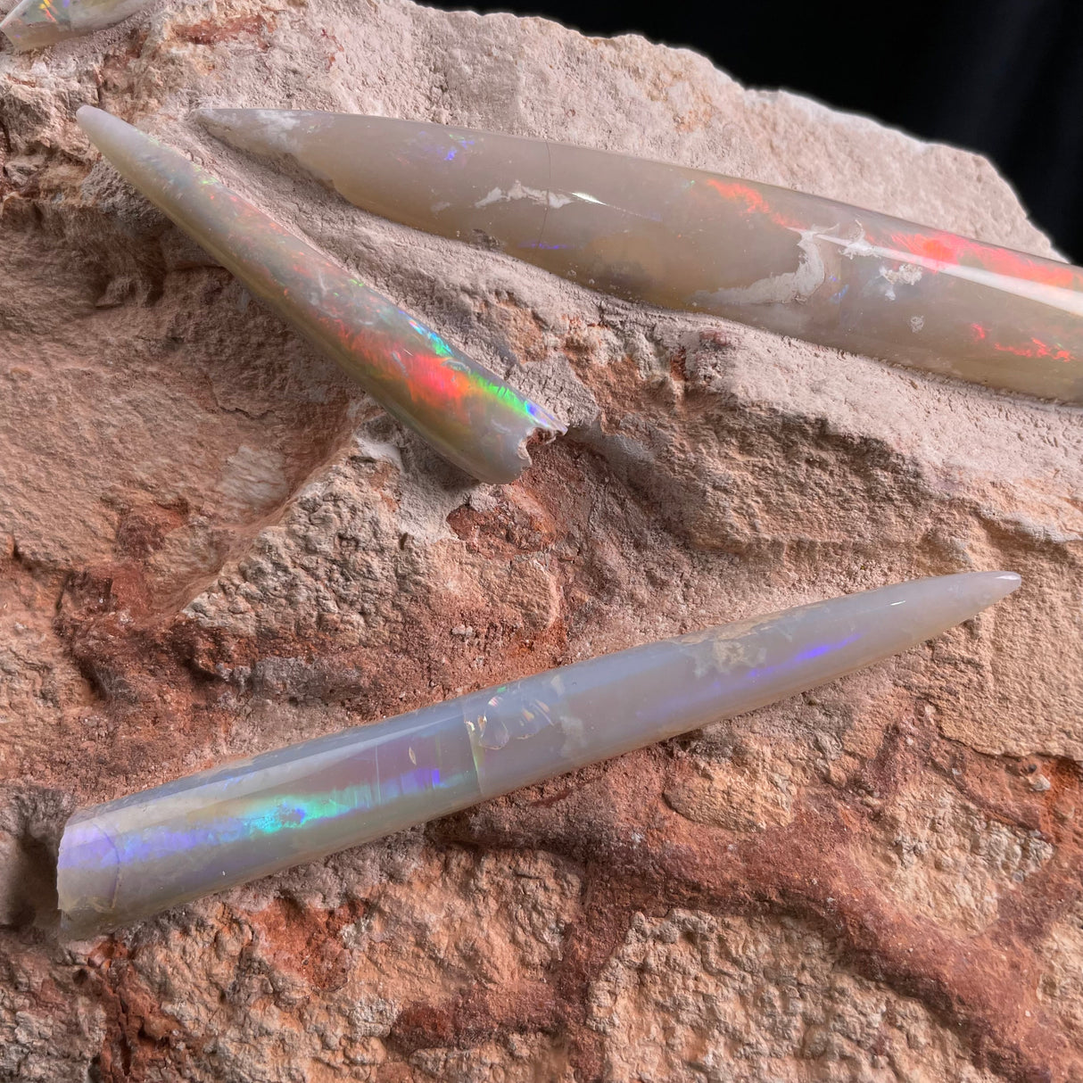 OPAL BELEMNITE FOSSILS IN MATRIX, Lower Cretaceous, Australia GOB006