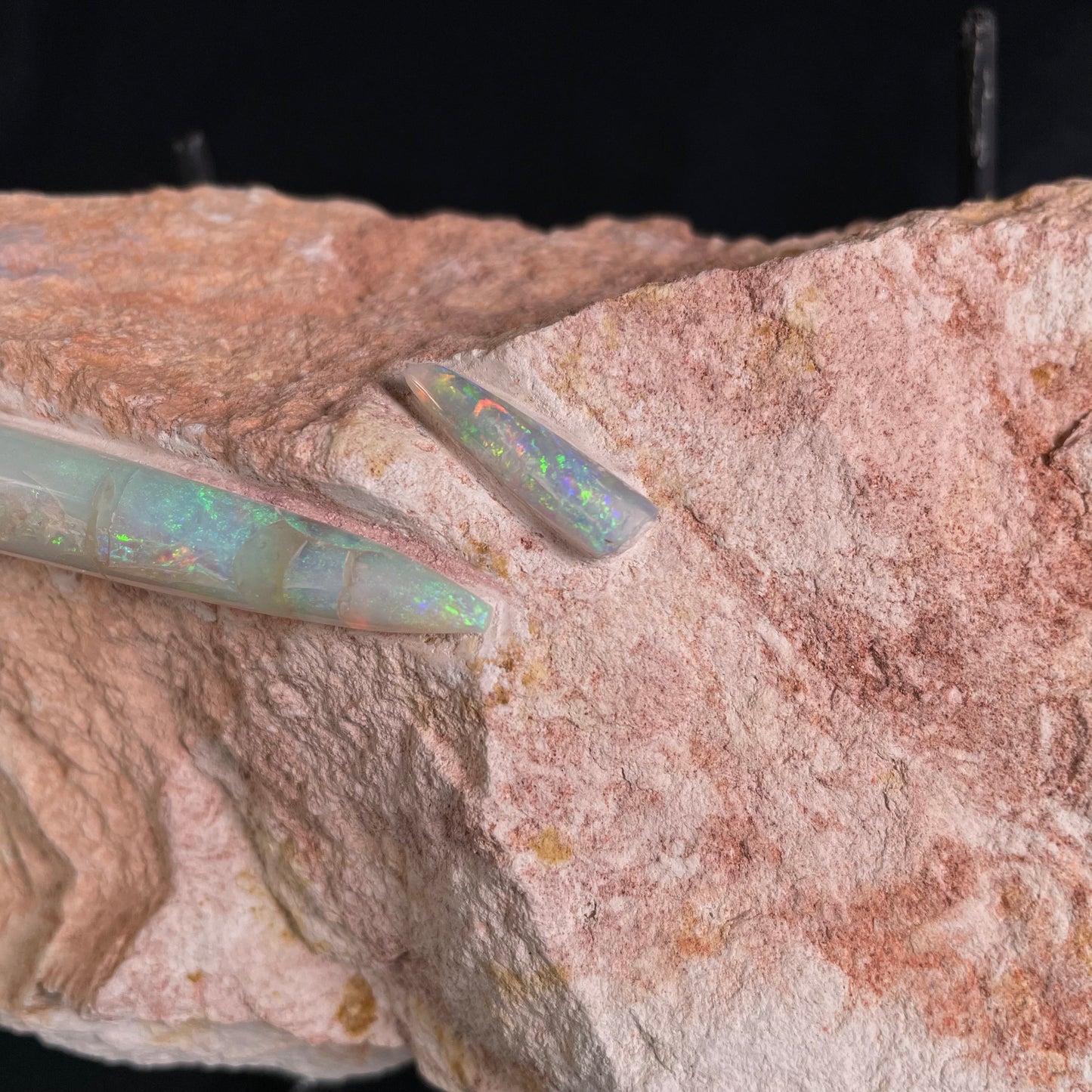OPAL BELEMNITE FOSSILS IN MATRIX, Lower Cretaceous, Australia GOB009