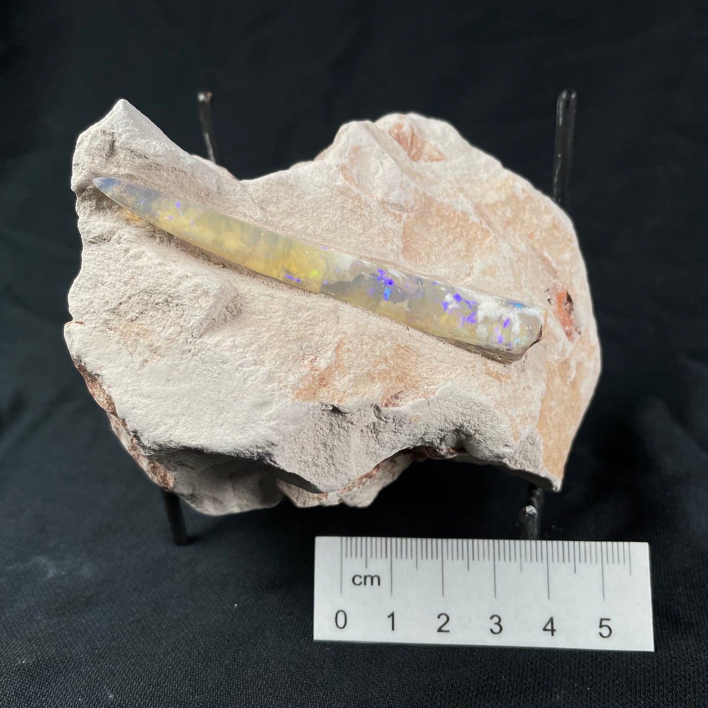 OPAL BELEMNITE FOSSIL IN MATRIX, Lower Cretaceous, Australia GOB011