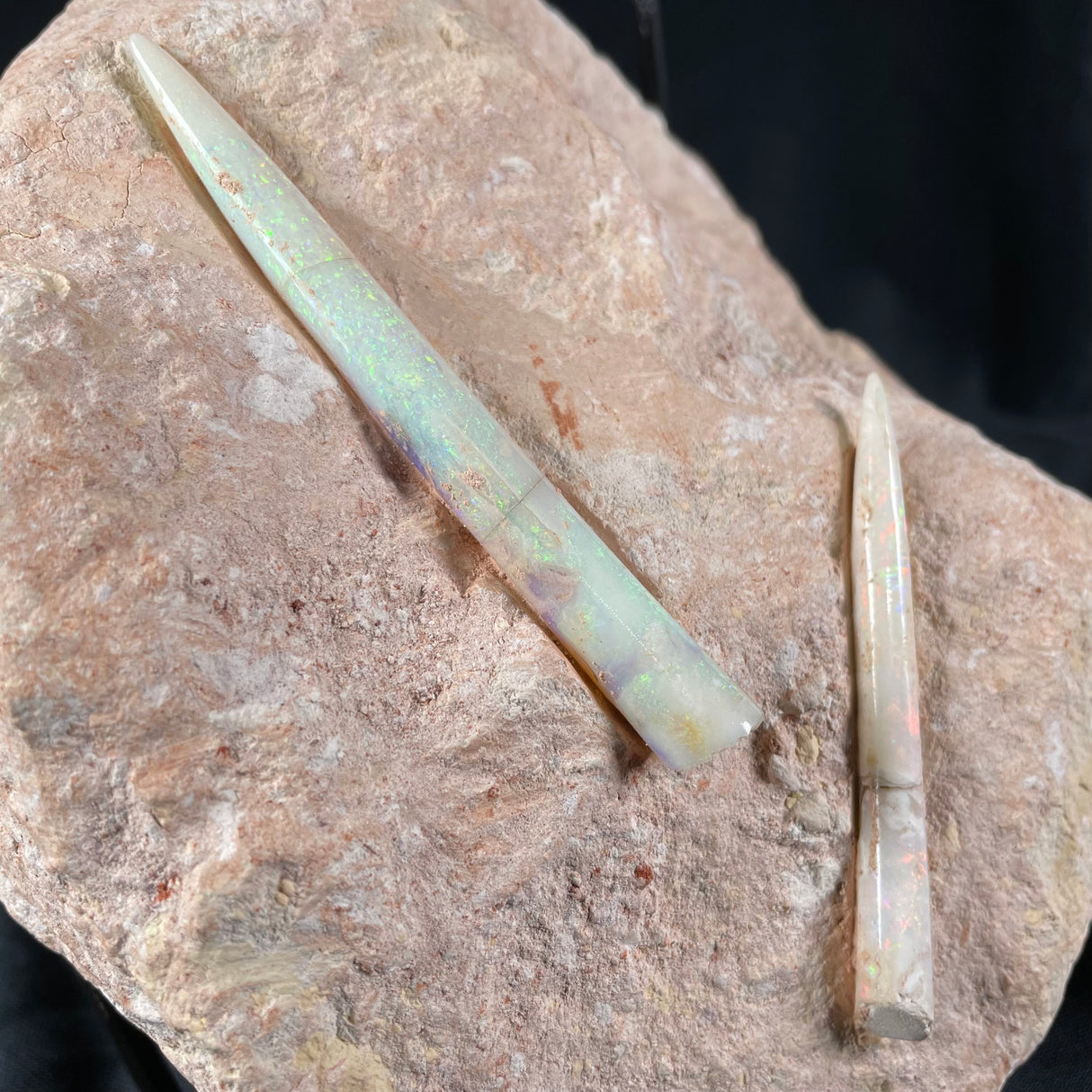 OPAL BELEMNITE FOSSILS IN MATRIX, Lower Cretaceous, Australia GOB012