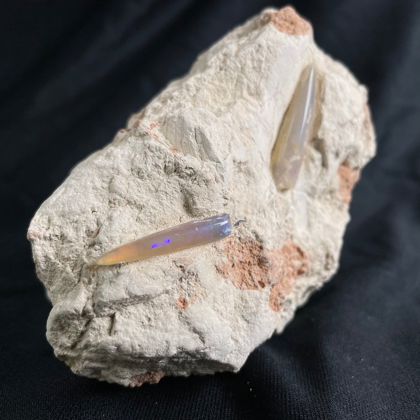 OPAL BELEMNITE FOSSILS IN MATRIX, Lower Cretaceous, Australia GOB014