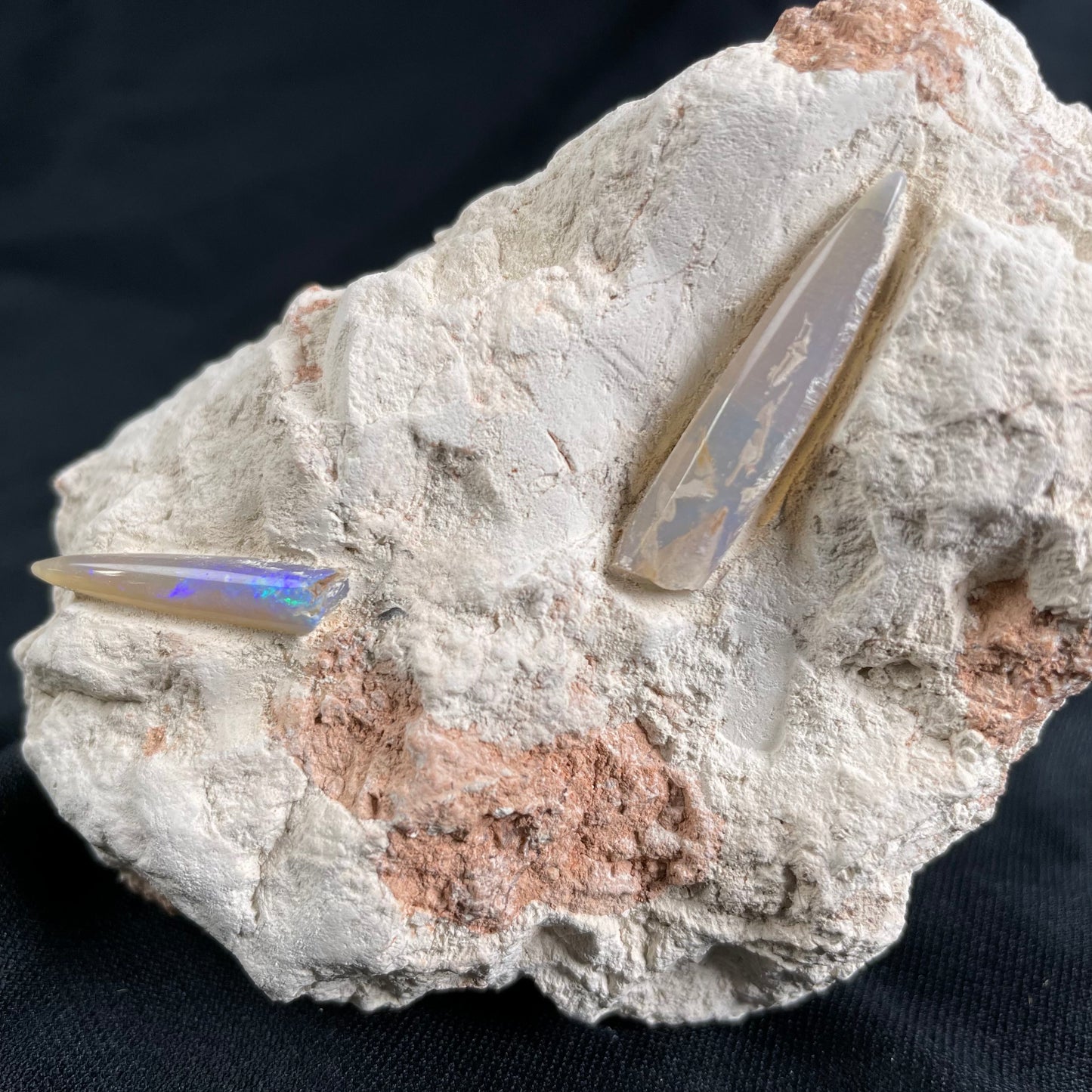 OPAL BELEMNITE FOSSILS IN MATRIX, Lower Cretaceous, Australia GOB014