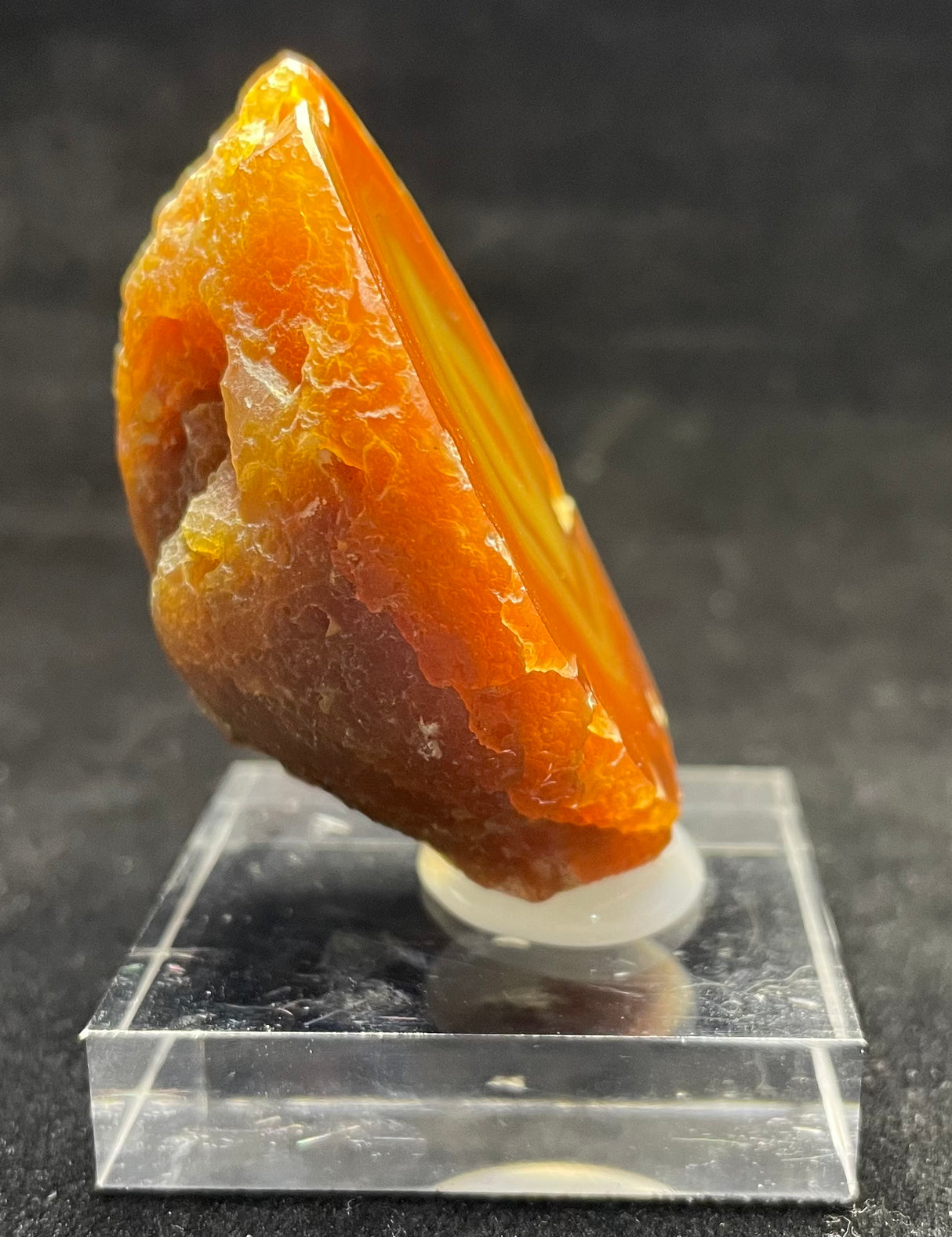 AGATE CREEK AGATE SPECIMEN, Agate Creek Queensland, Australia 3IHACA2