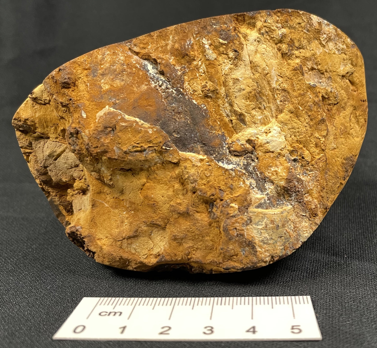 BOULDER OPAL, Australia GBL007