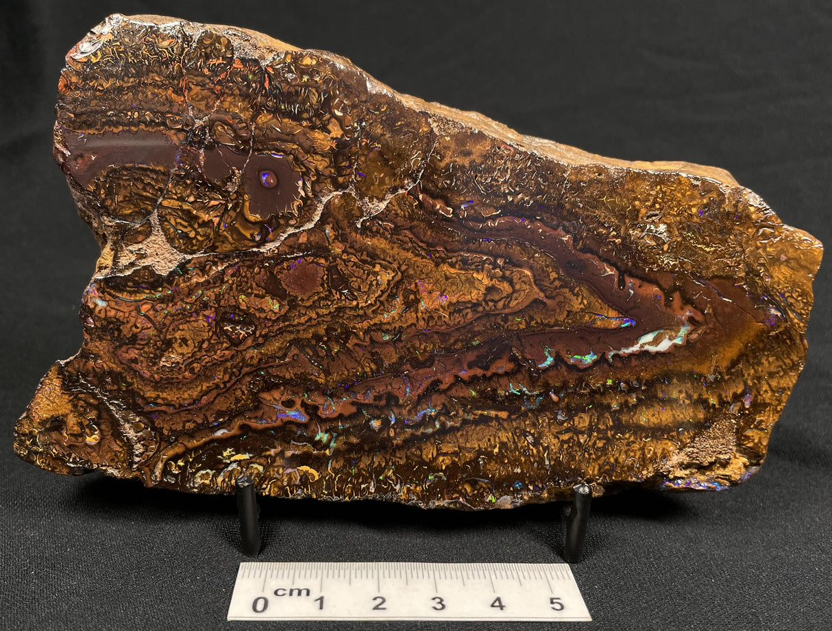 BOULDER OPAL, Australia GBL012