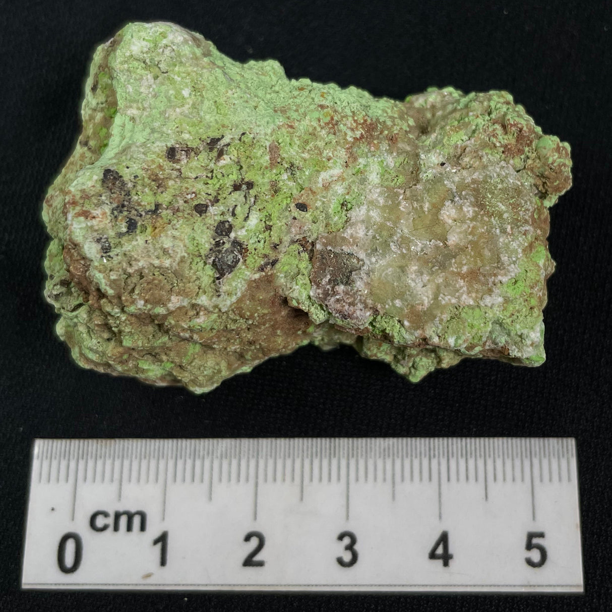Gaspeite Rough from Australia XRG014