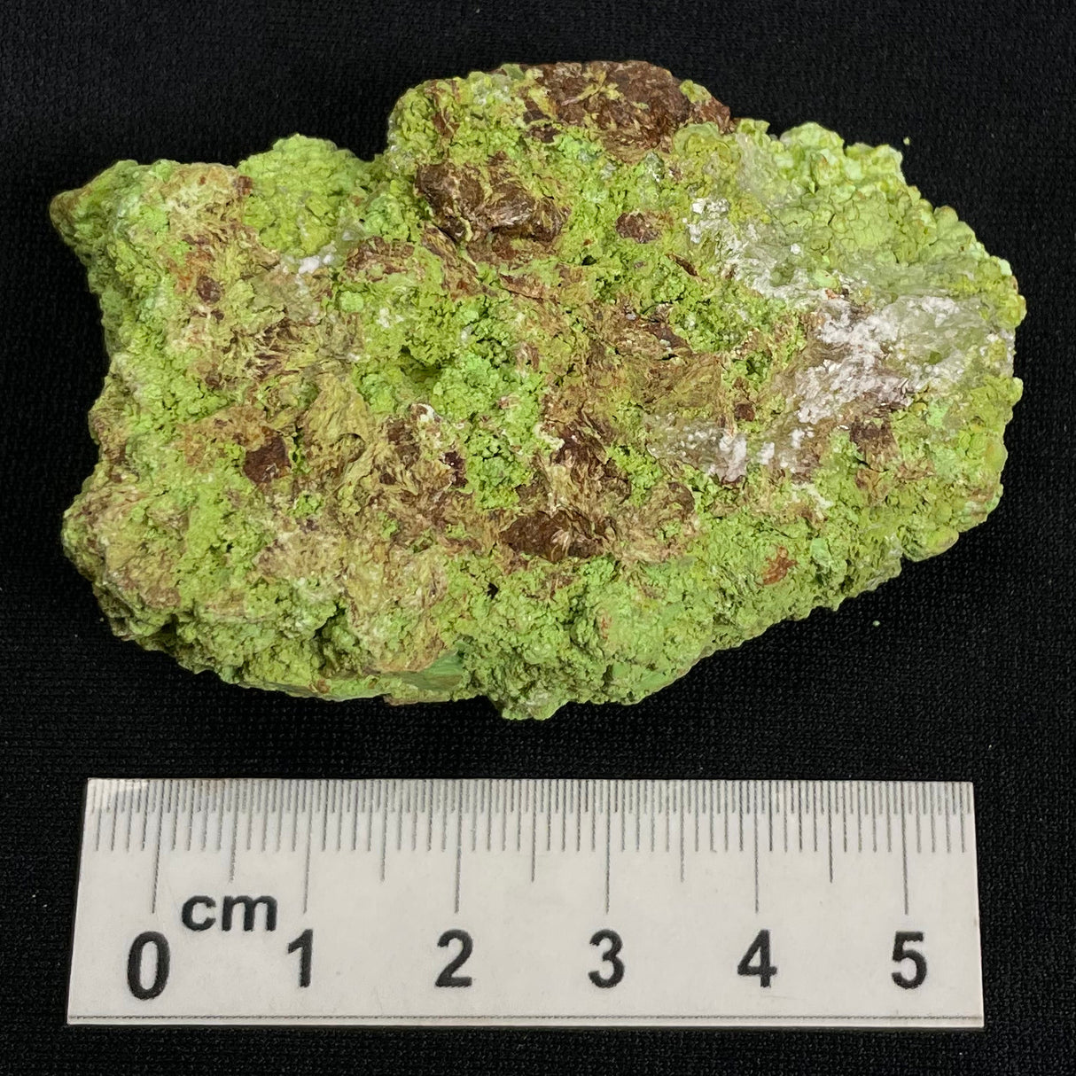 Gaspeite Rough from Australia XRG020