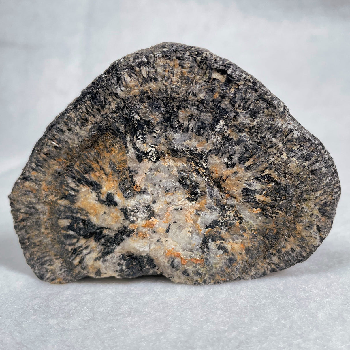 Orbicular Granite Nodule from Australia Polished YOG001