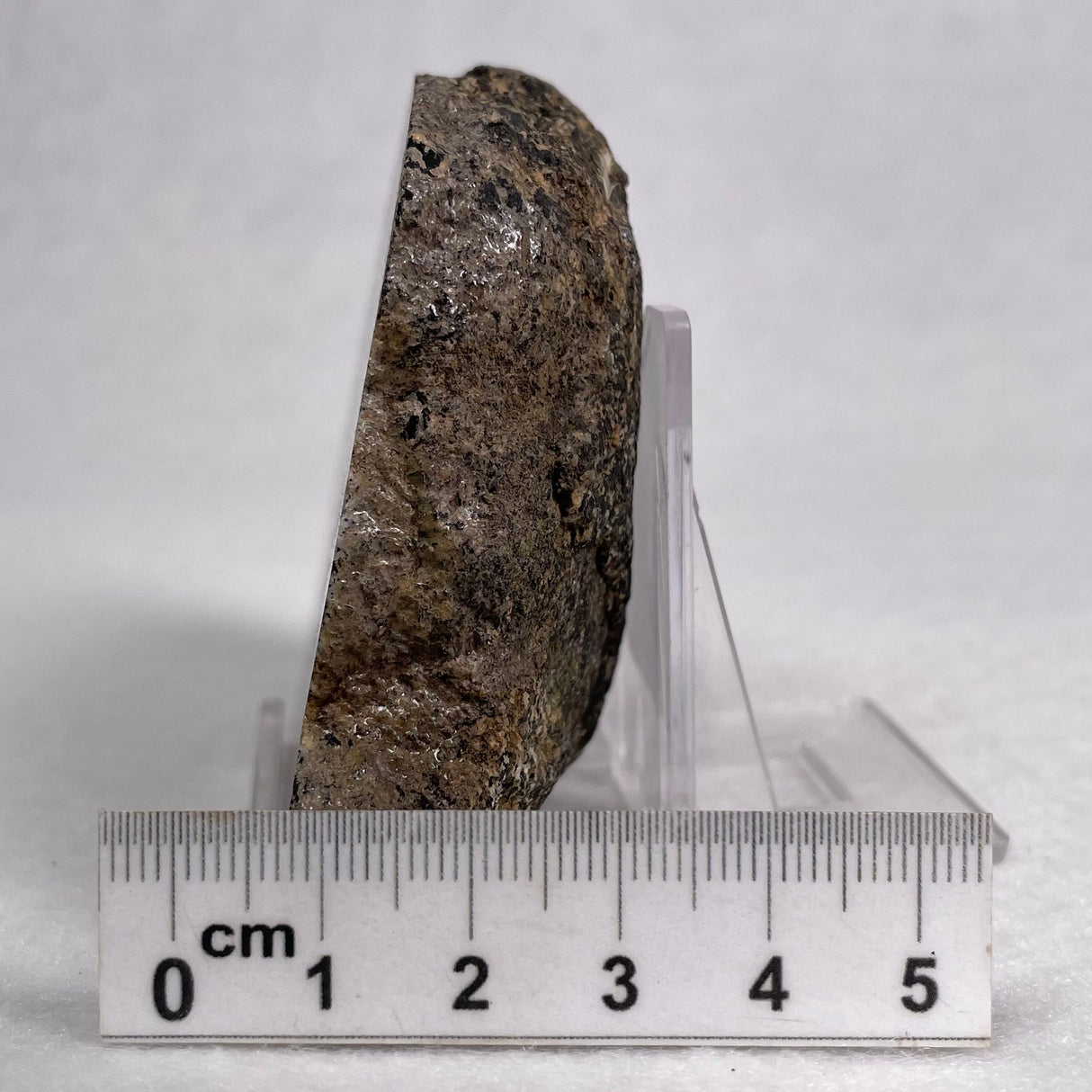 Orbicular Granite Nodule from Australia Polished YOG002