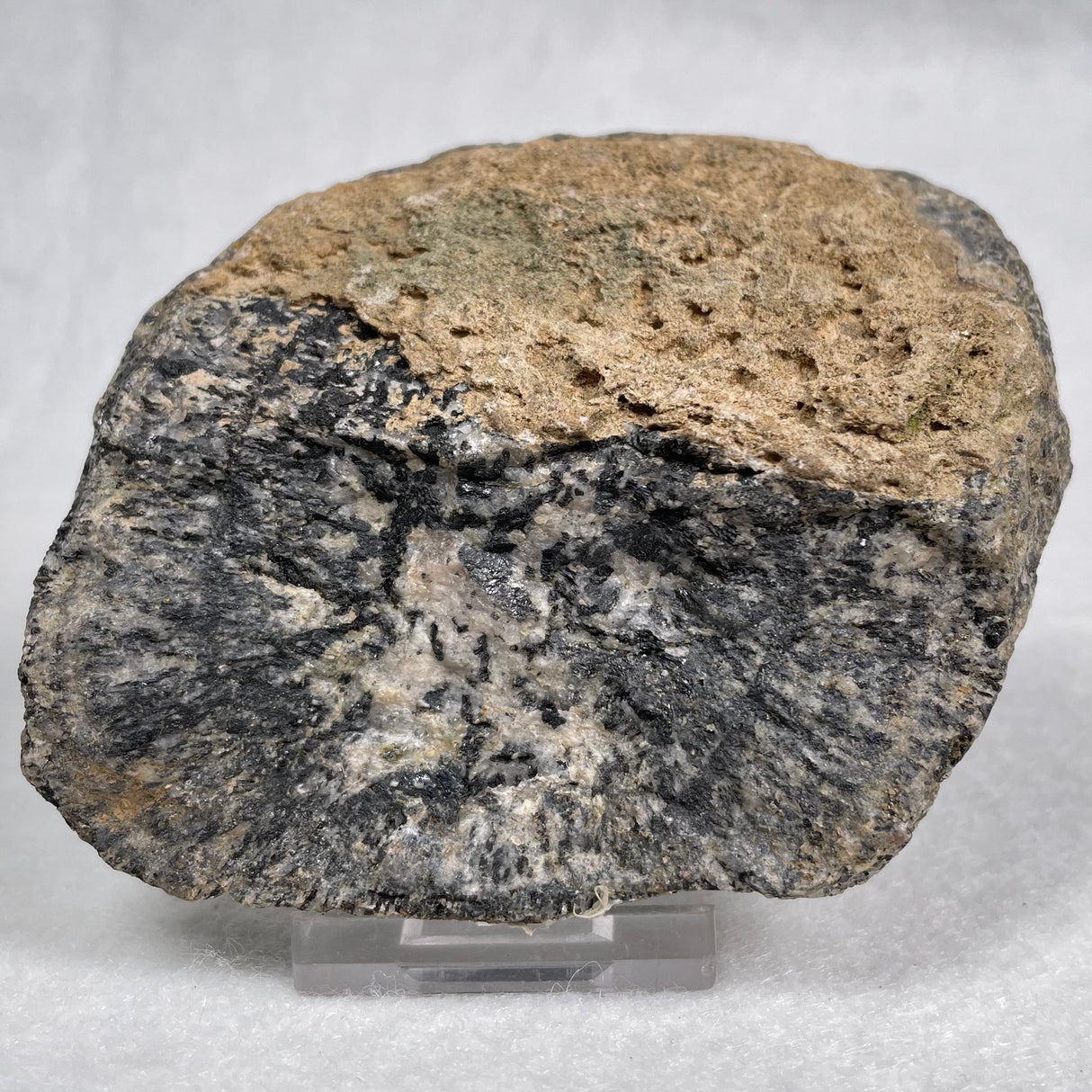 Orbicular Granite Nodule from Australia Polished YOG005