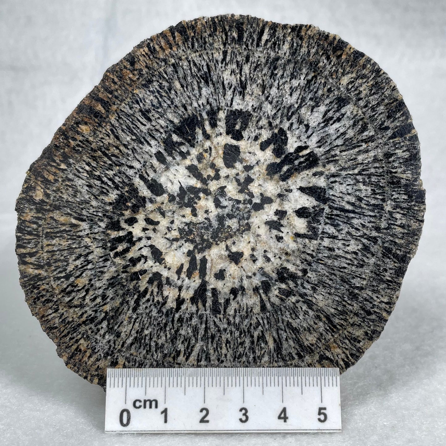 ORBICULAR GRANITE NODULE, Australia YOG007