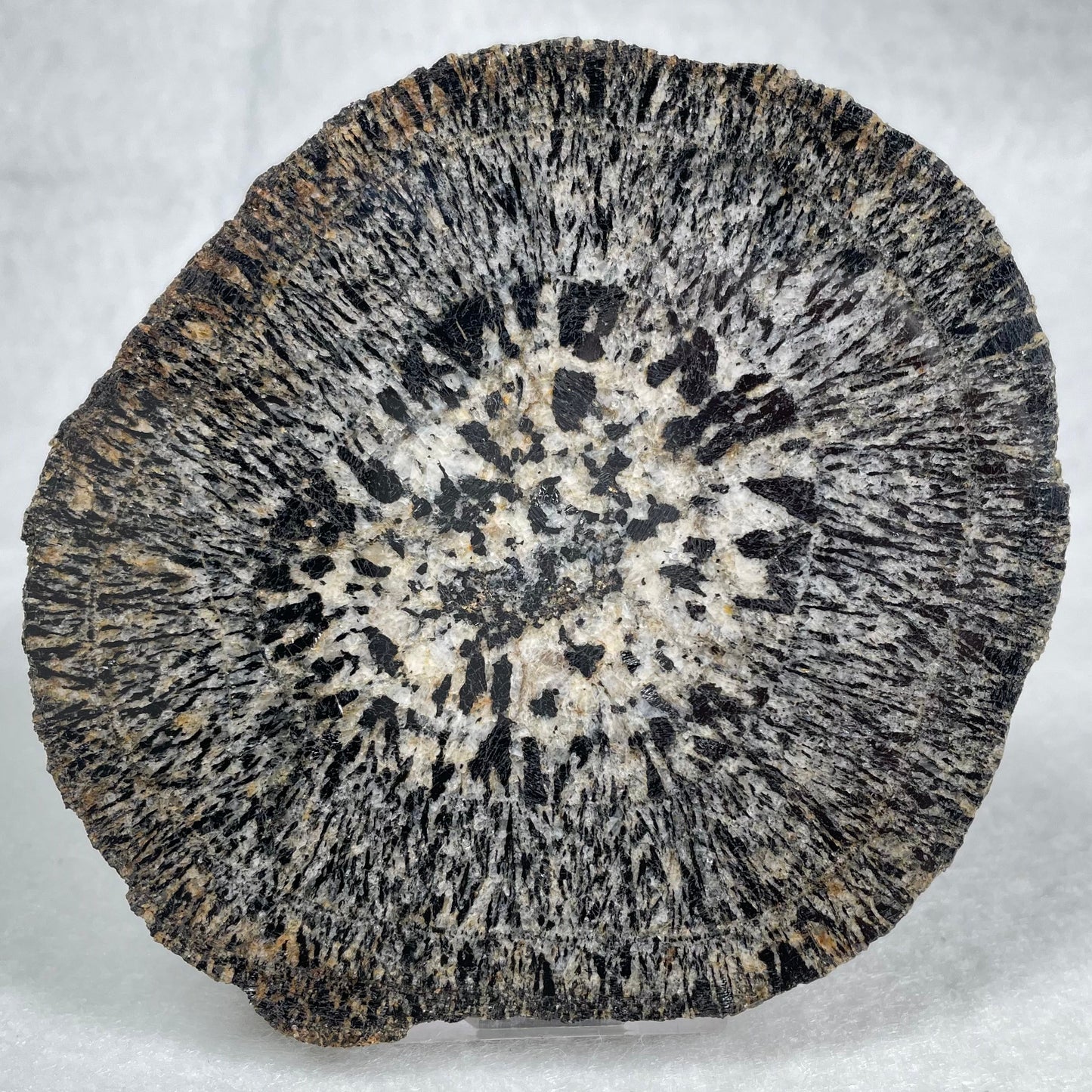 ORBICULAR GRANITE NODULE, Australia YOG007