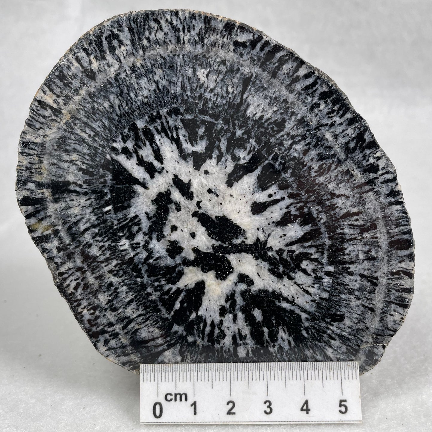 ORBICULAR GRANITE NODULE, Australia YOG009