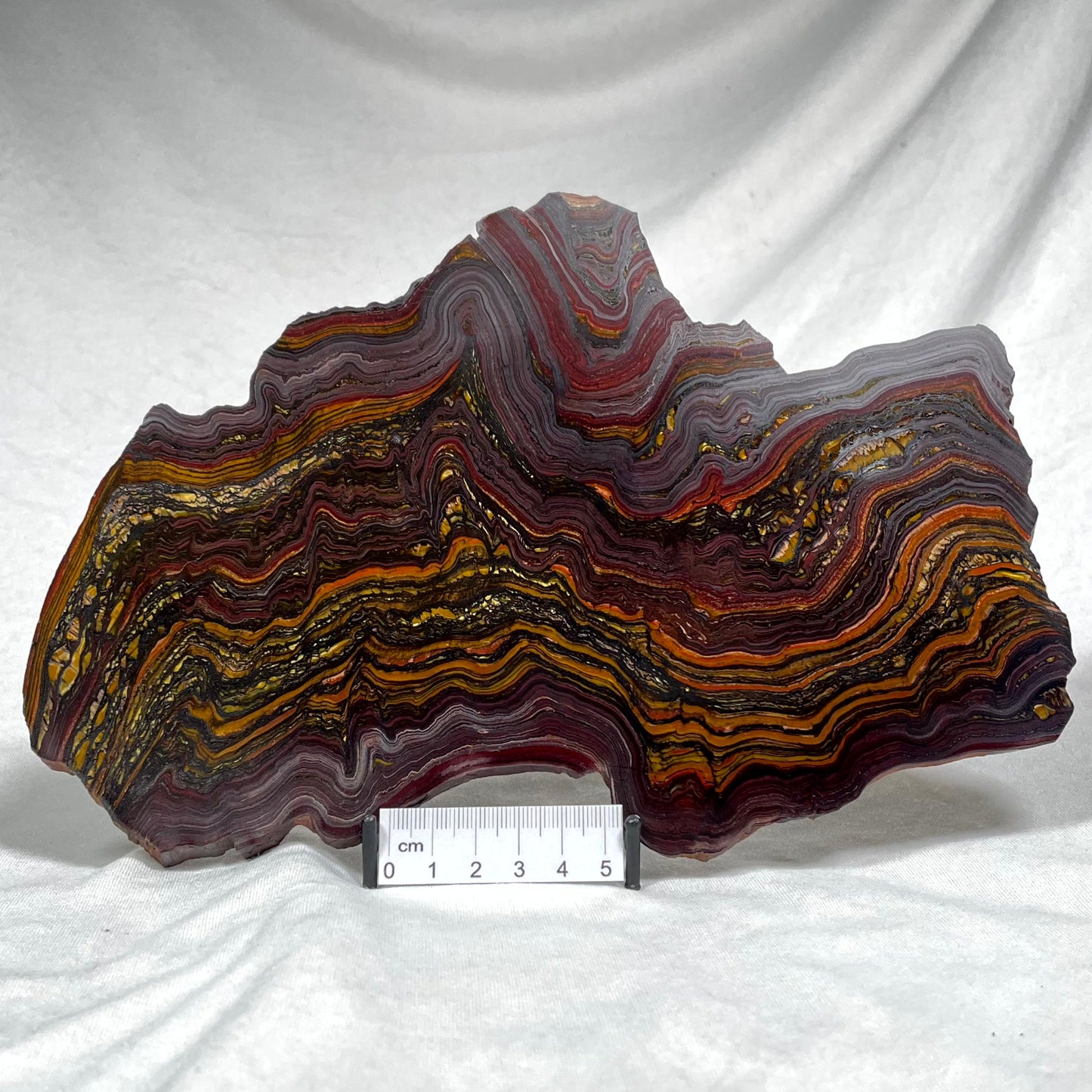 BANDED TIGER IRON MICROBIALITE, Archean, Australia ZBI002
