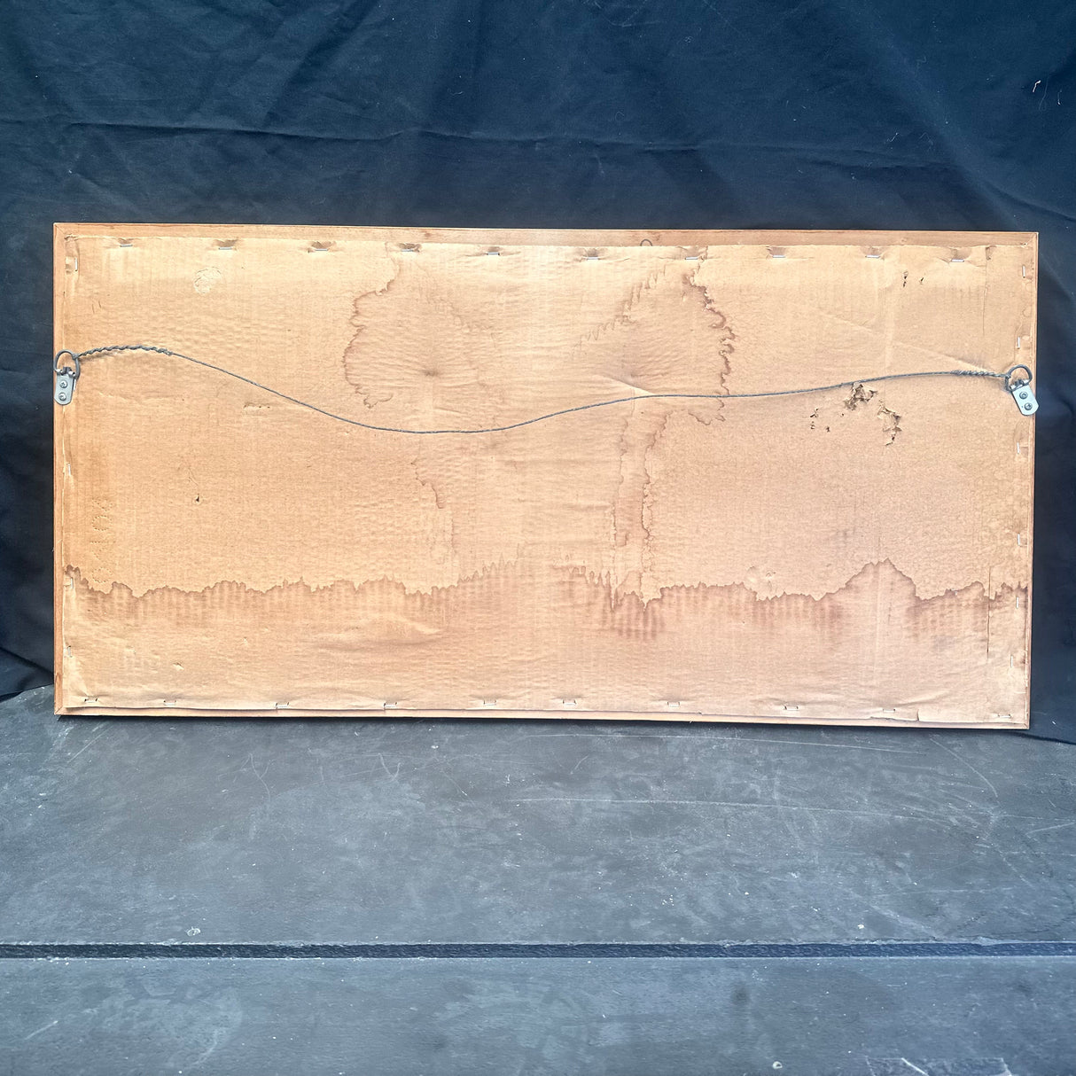 FISH FOSSIL DIPLOMYSTUS DENTATUS & COCKERELLITES LIOPS, Eocene, USA CWG010