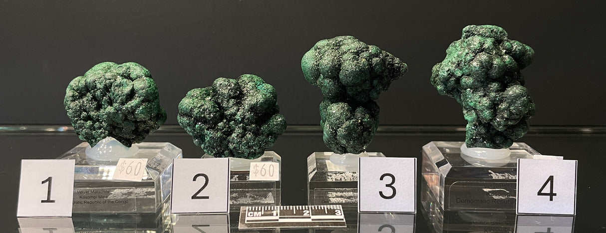 BOTRYOIDAL VELVET MALACHITE, Democratic Republic of the Congo IVM009-12