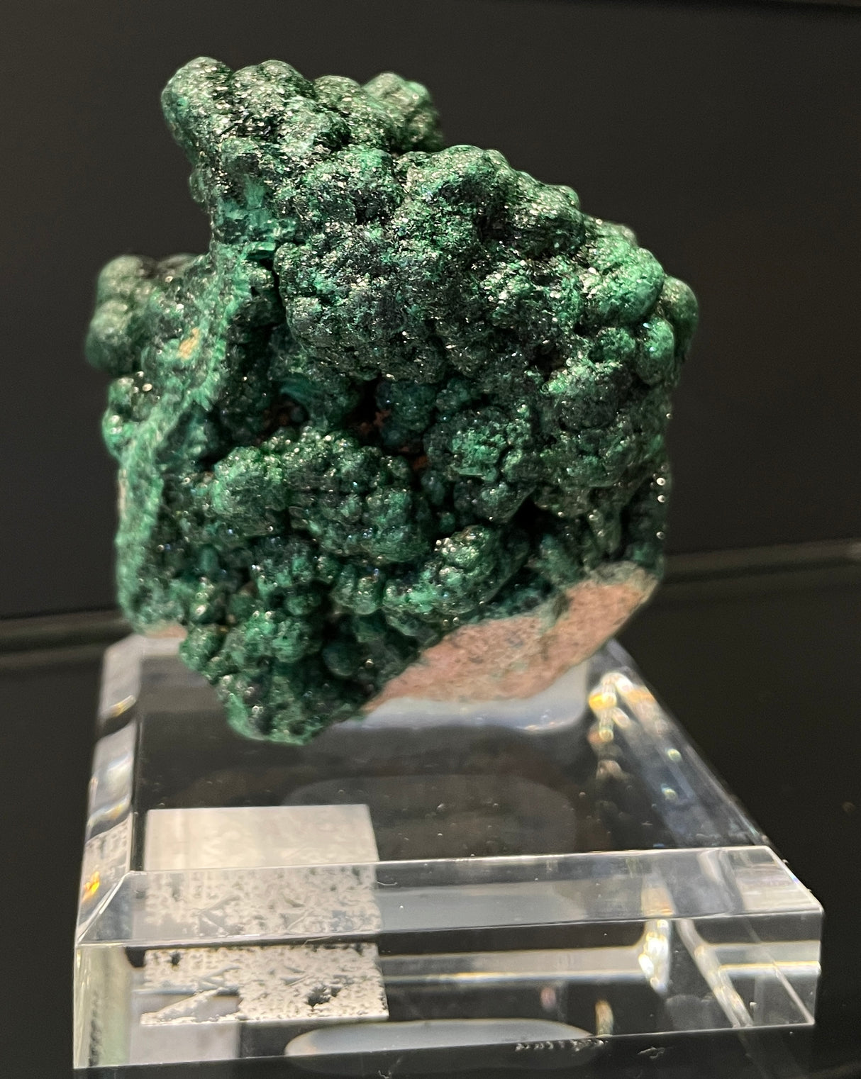 BOTRYOIDAL VELVET MALACHITE, Democratic Republic of the Congo IVM014