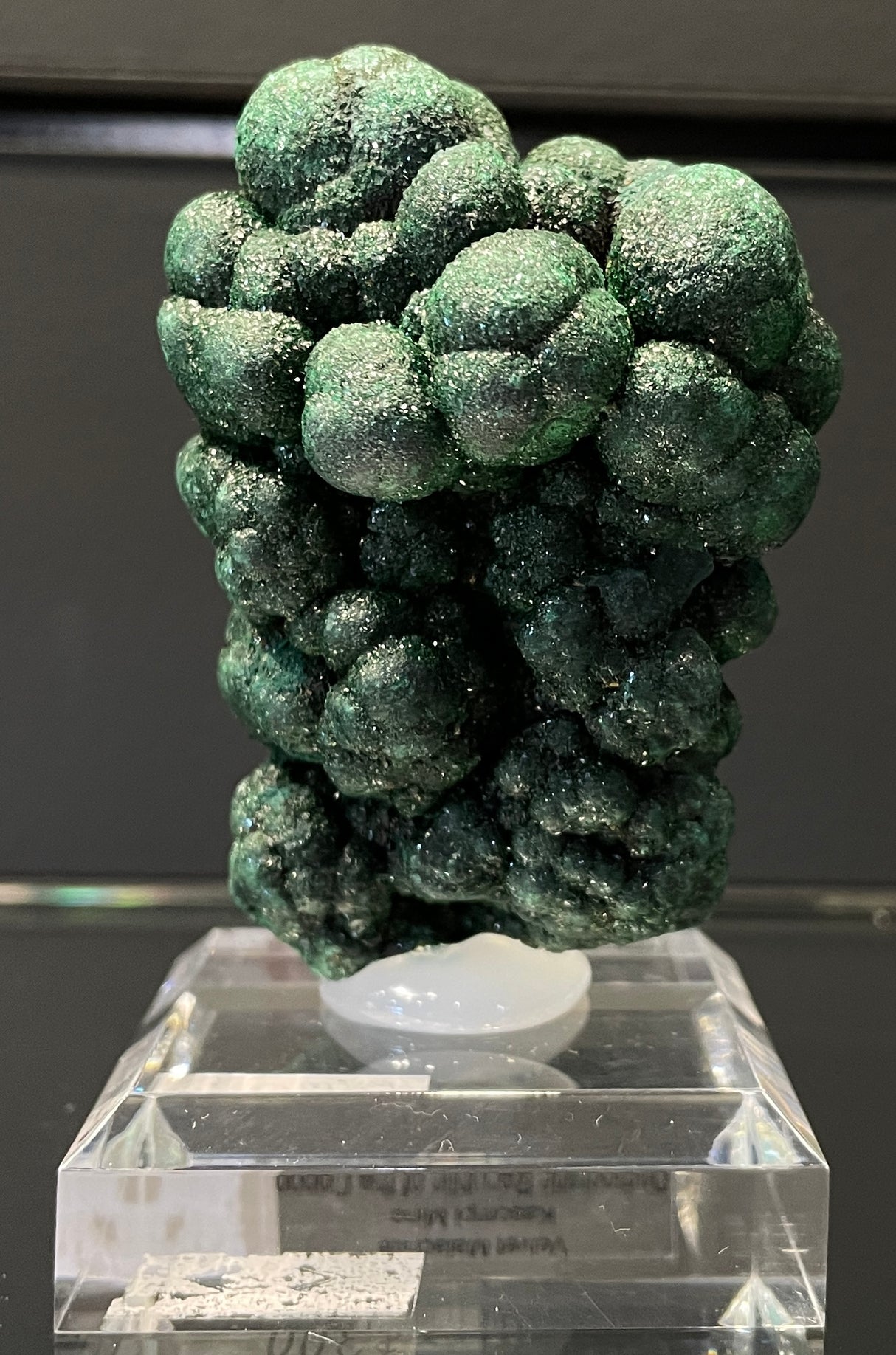 BOTRYOIDAL VELVET MALACHITE, Democratic Republic of the Congo IVM015