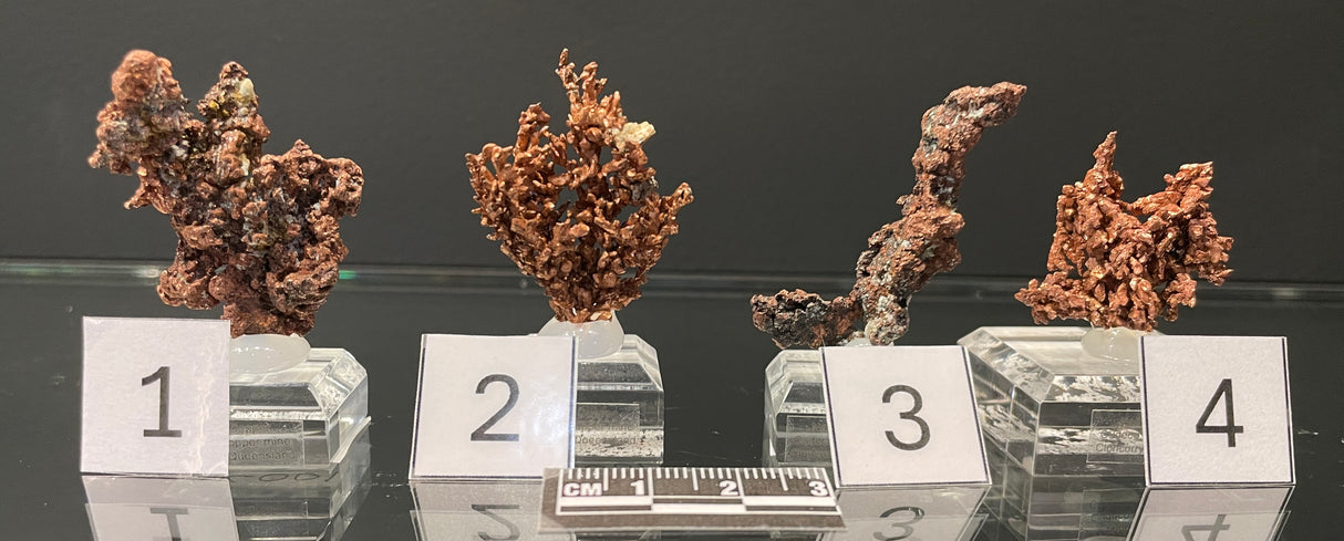 NATIVE COPPER, Australia INC001-004