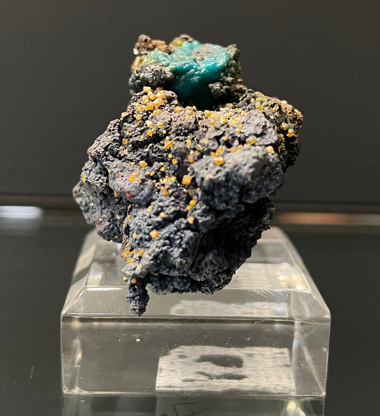 WULFENITE ON MALACHITE PSEUDOMORPH, Western Australia IWU017