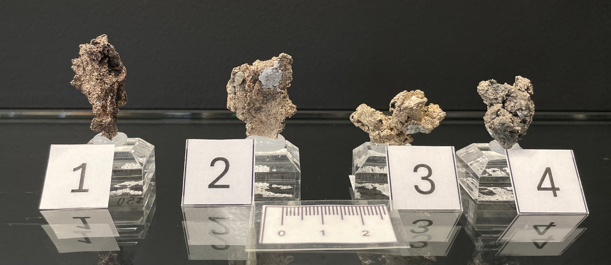 NATIVE SILVER, Australia INS013-16