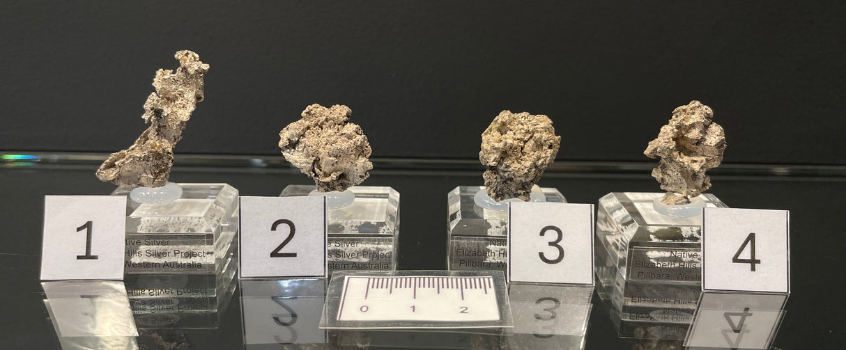 NATIVE SILVER, Australia INS017-20