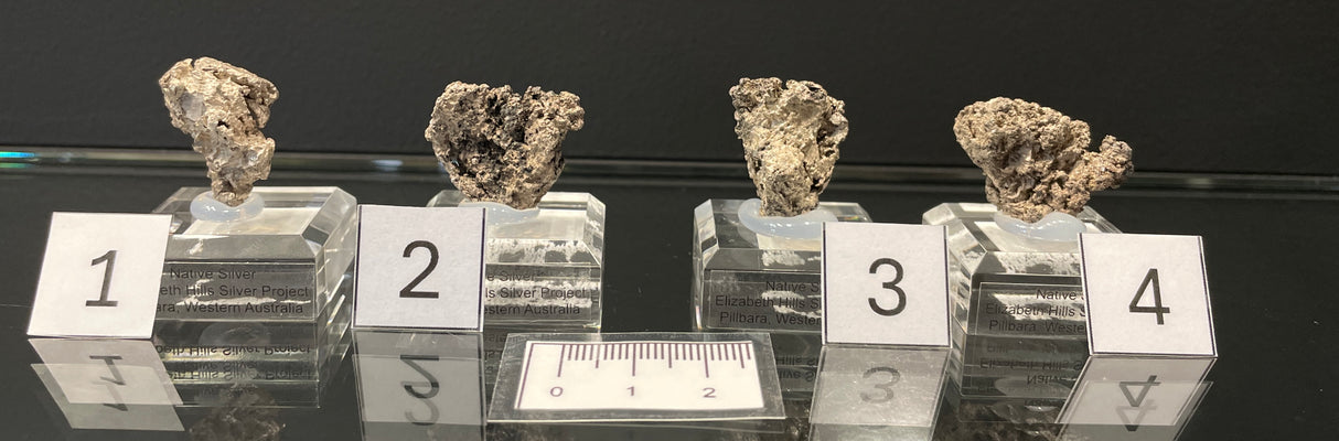 NATIVE SILVER, Australia INS025-28