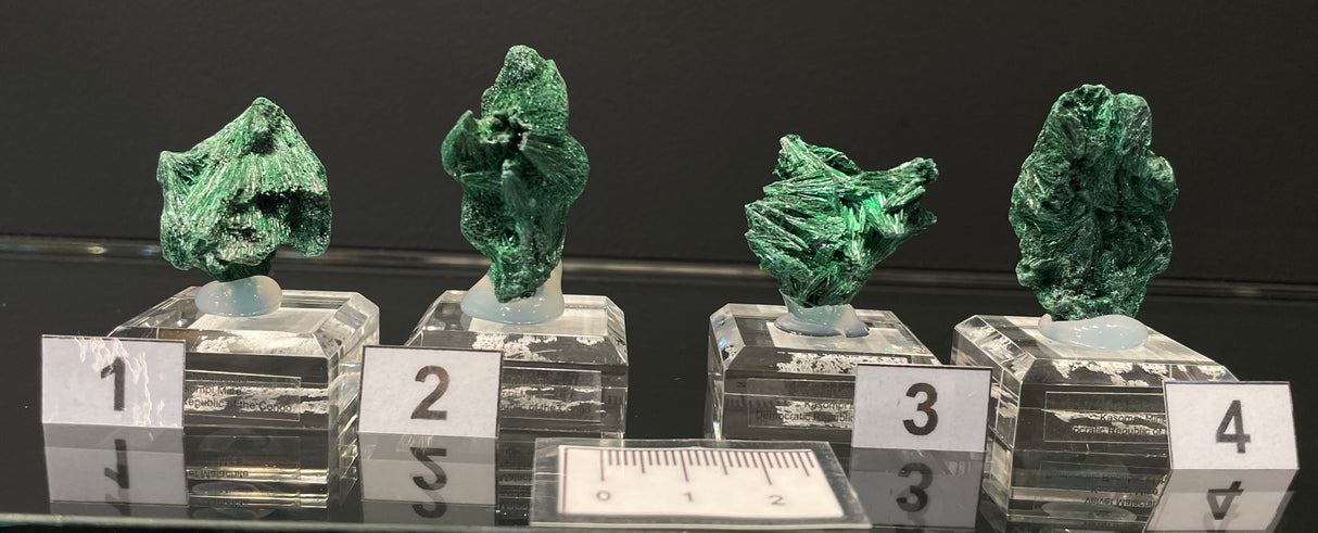 VELVET MALACHITE, Democratic Republic of the Congo IVE005-8