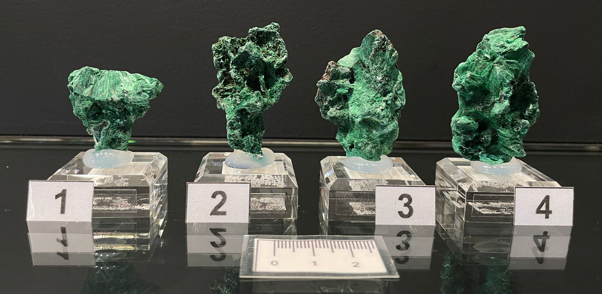 VELVET MALACHITE, Democratic Republic of the Congo IVE013-16