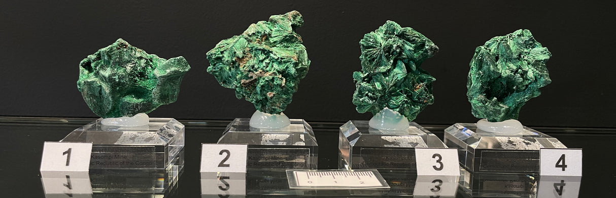 VELVET MALACHITE, Democratic Republic of the Congo IVE025-28