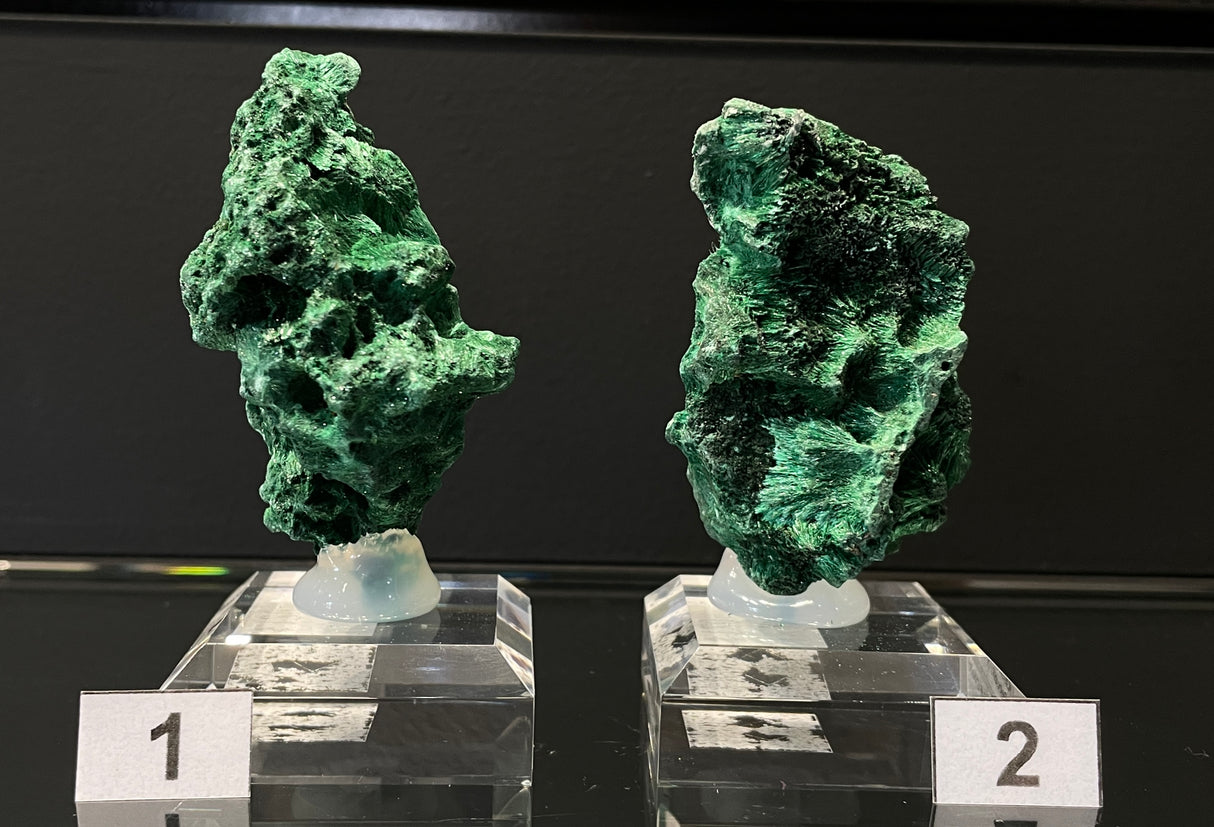 VELVET MALACHITE, Democratic Republic of the Congo IVE029-30