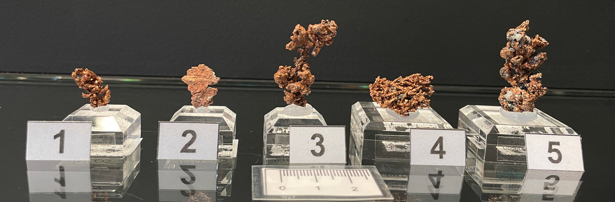 NATIVE COPPER, Australia INC057-61