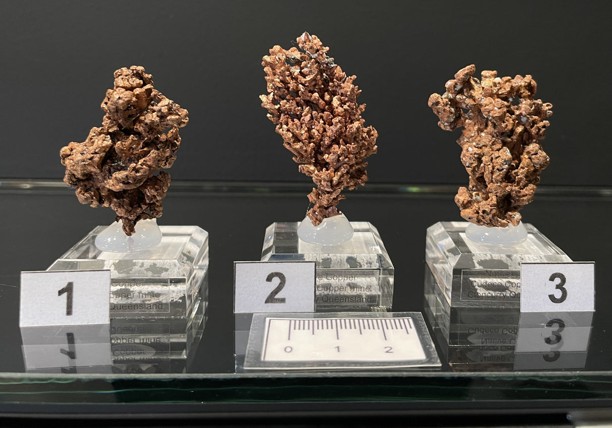 NATIVE COPPER, Australia INC103-105