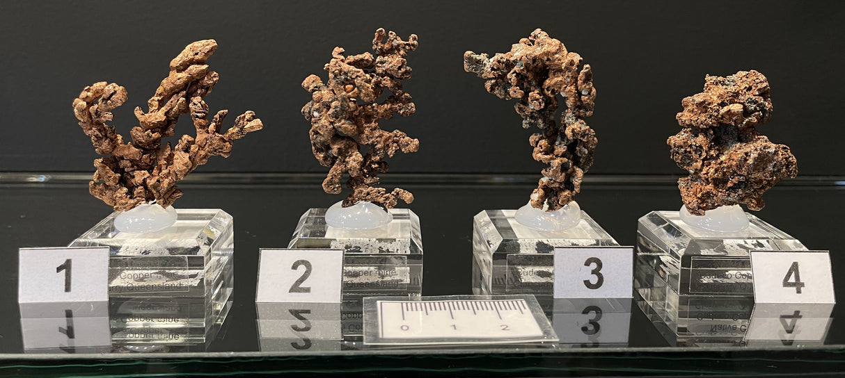 NATIVE COPPER, Australia INC106-109