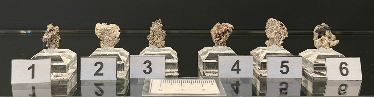 NATIVE SILVER, Australia INS080-85