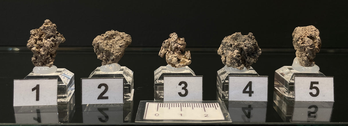 NATIVE SILVER, Australia INS105-109