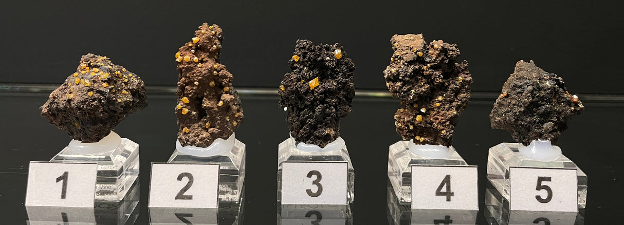 WULFENITE, Western Australia IWF008-12