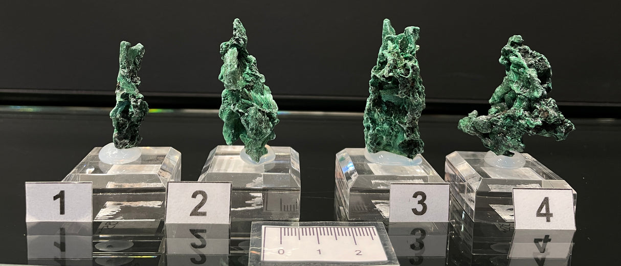 VELVET MALACHITE, Democratic Republic of the Congo IVE035-38