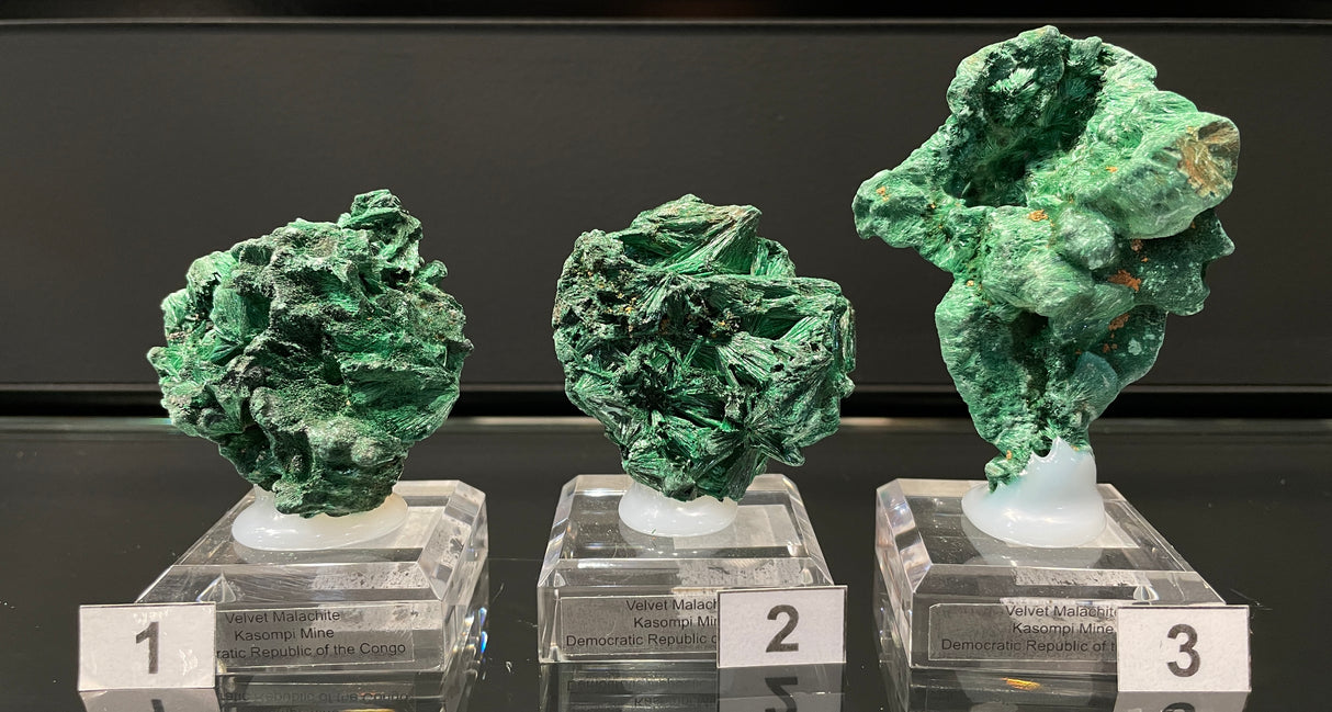 VELVET MALACHITE, Democratic Republic of the Congo IVE047-49