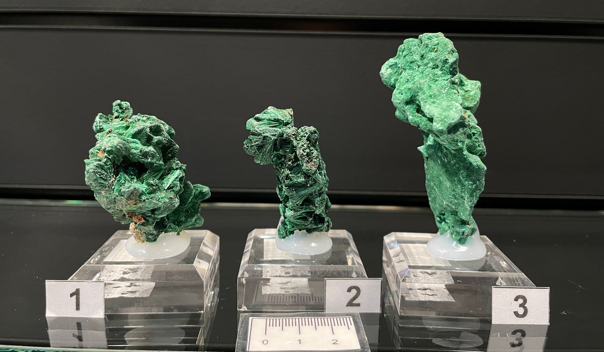 VELVET MALACHITE, Democratic Republic of the Congo IVE047-49