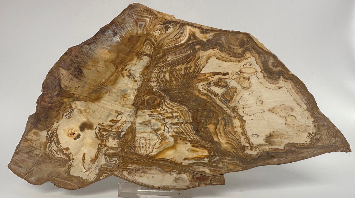PICTURE JASPER SLICE Australia S550