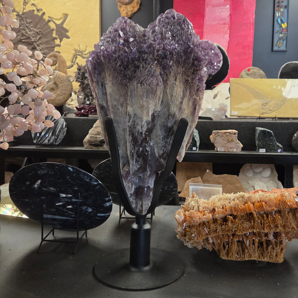 DRAGON TOOTH AMETHYST POINT ON STAND Brazil RBDTAS